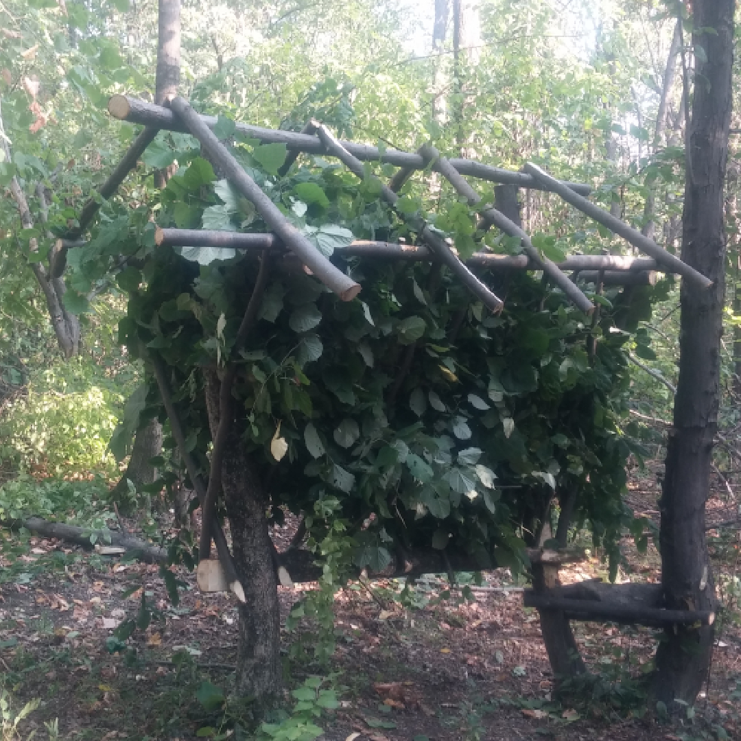 New Project (43)